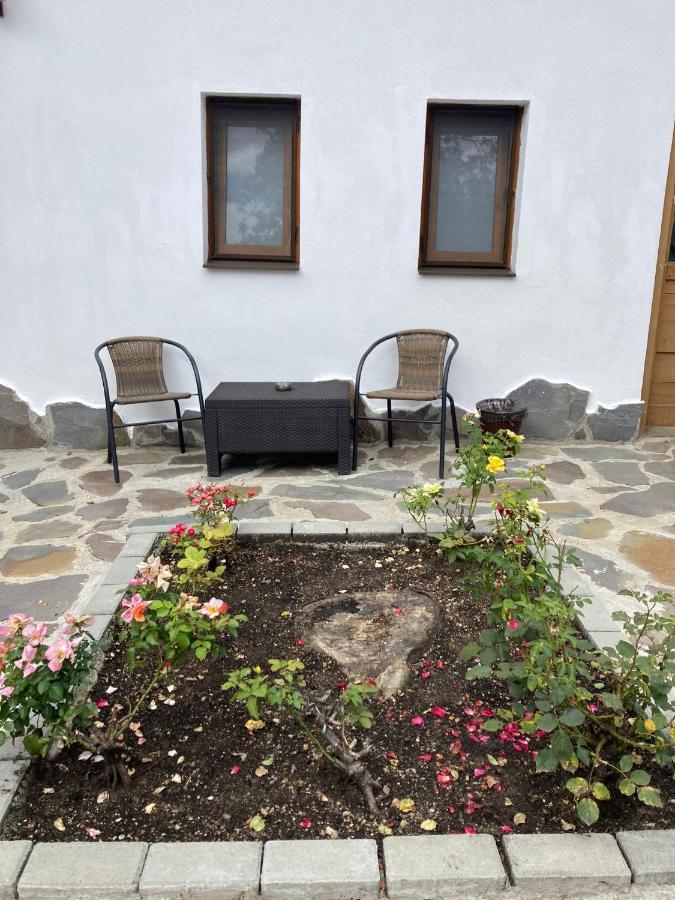 Livada Studio Apartments Braşov Dış mekan fotoğraf