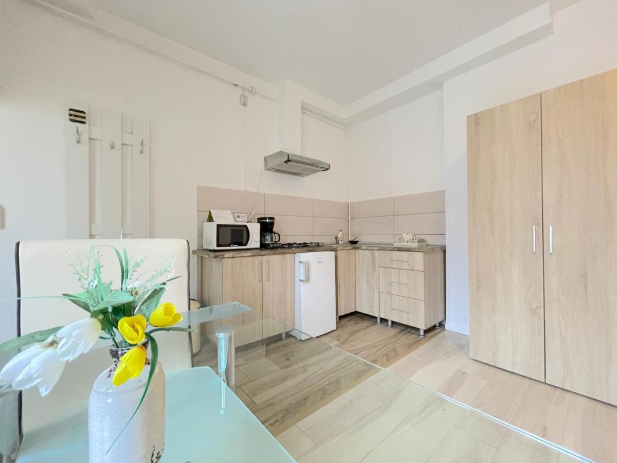 Livada Studio Apartments Braşov Dış mekan fotoğraf
